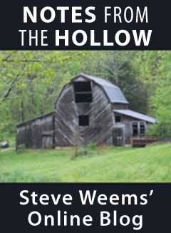 Notes from the Hollow
